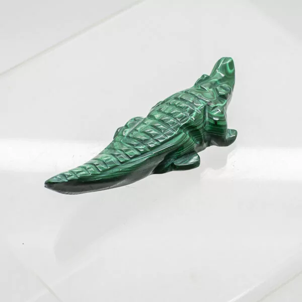 malachite crocodile