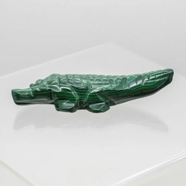 malachite crocodile