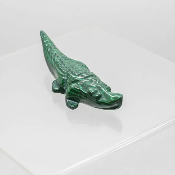 malachite crocodile