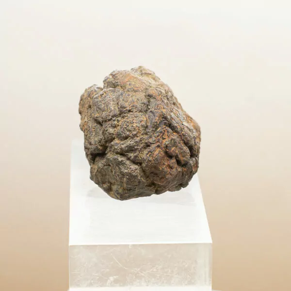 wolf creek iron meteorite