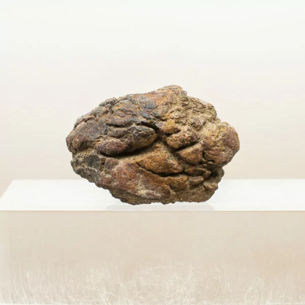 wolf creek iron meteorite