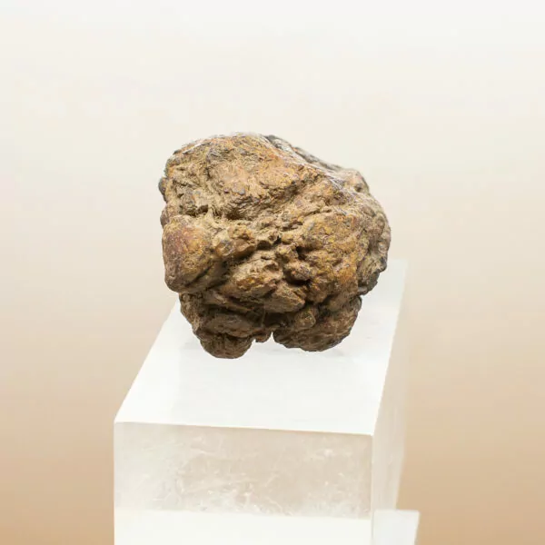 wolf creek iron meteorite