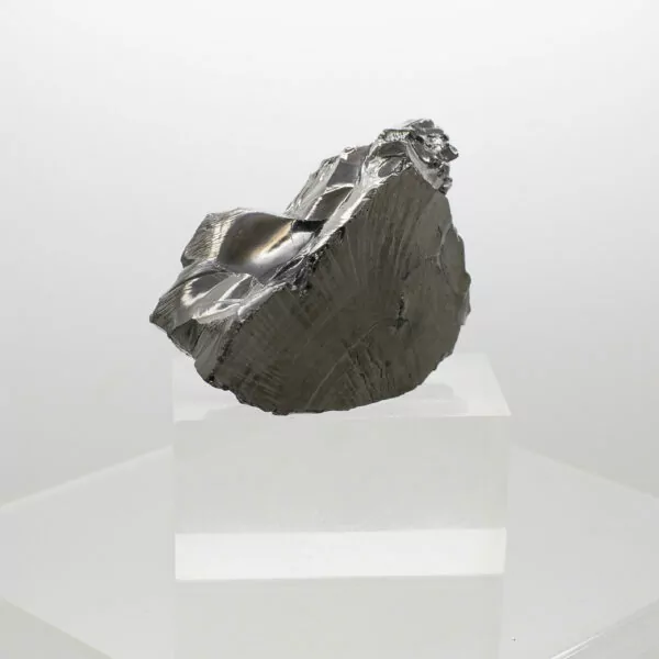 elite shungite