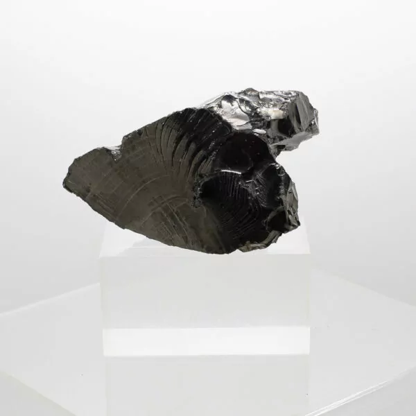 elite shungite