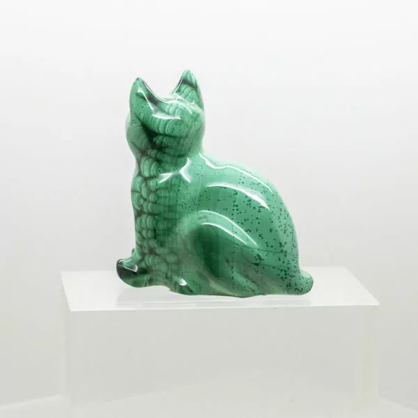 malachite cat