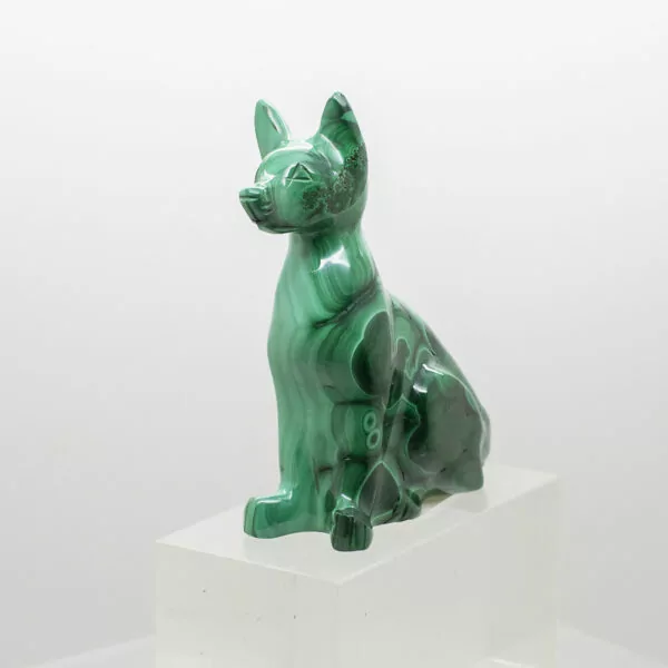 malachite dog