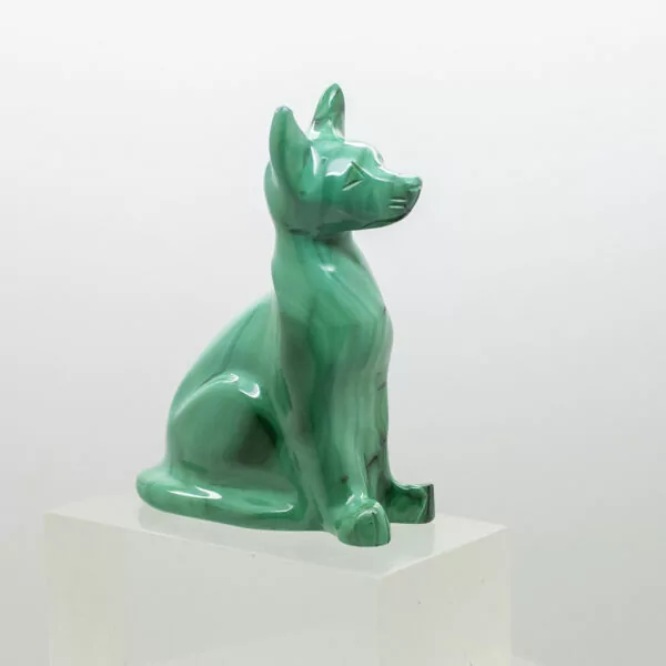 malachite dog