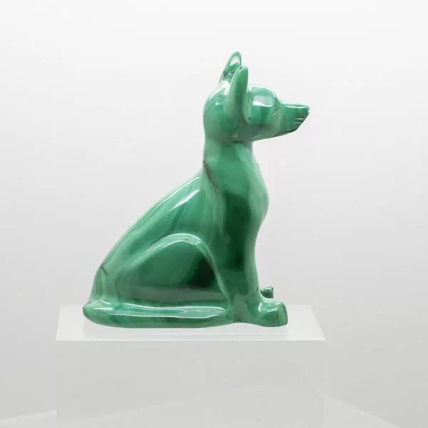 malachite dog