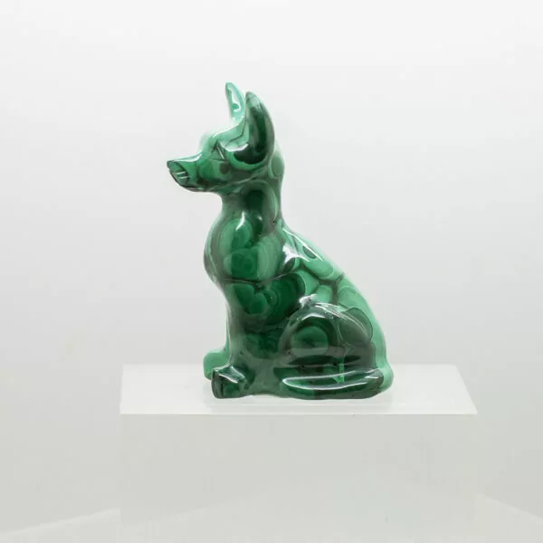 malachite dog