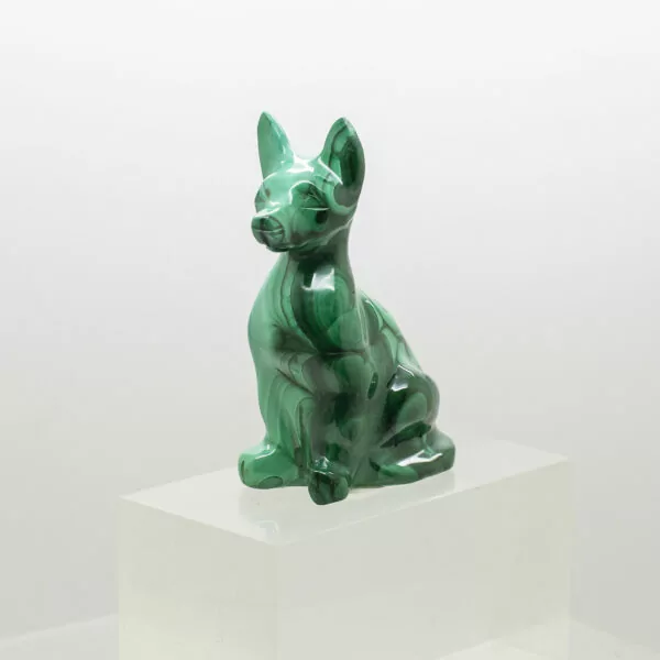 malachite dog