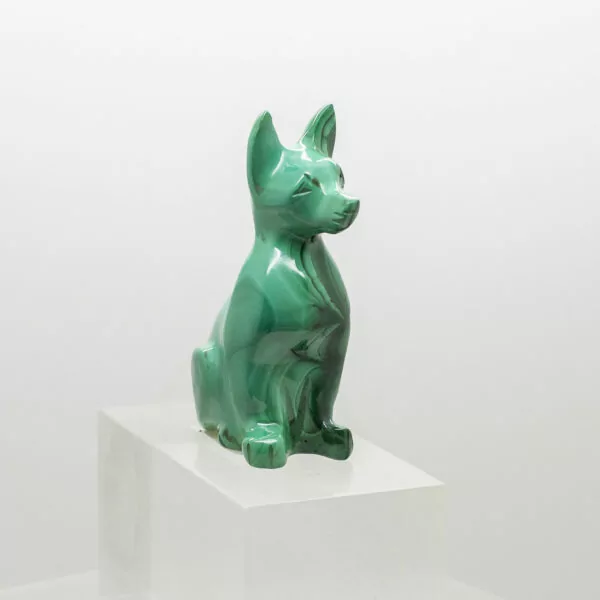 malachite dog