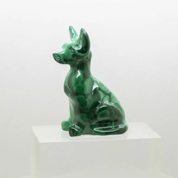 malachite dog