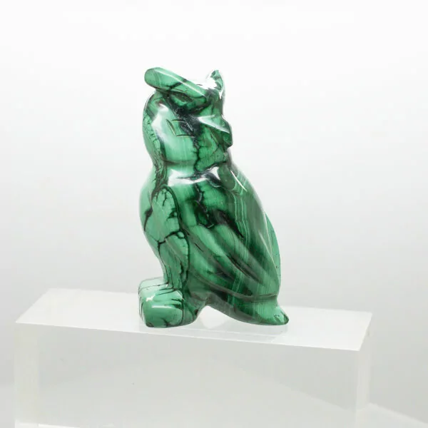 malachite owl