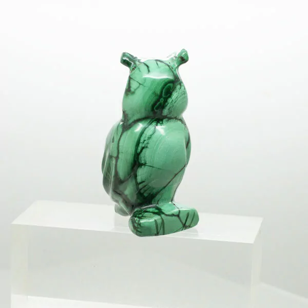 malachite owl