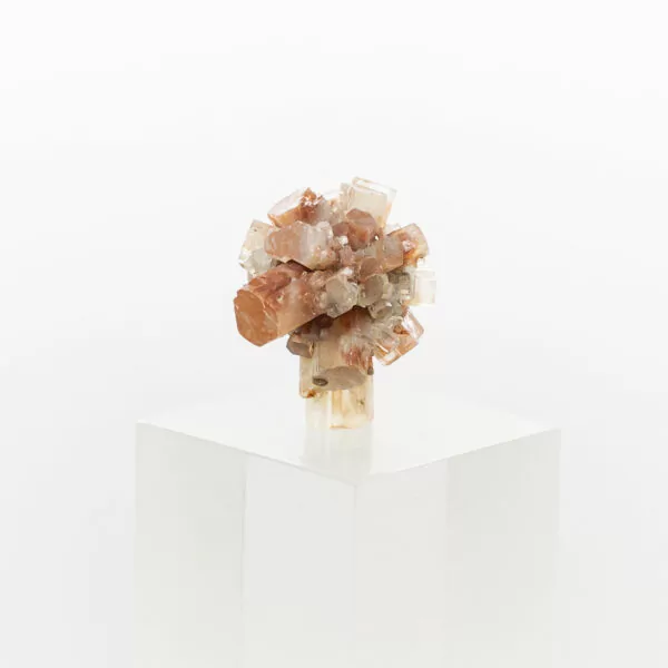 aragonite cluster