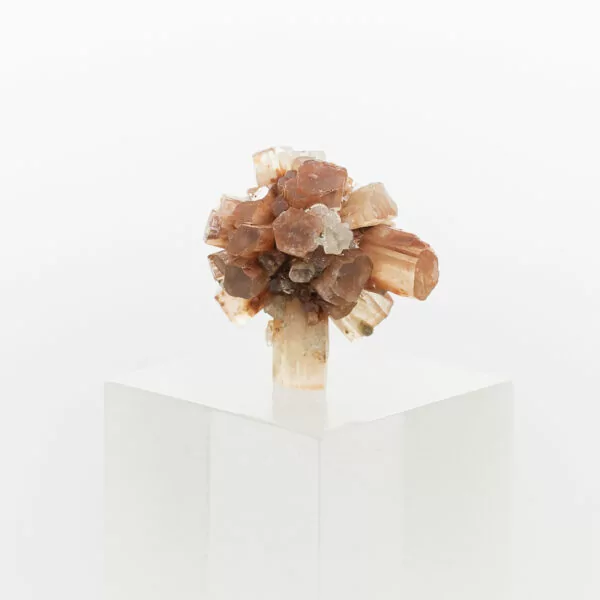 aragonite cluster