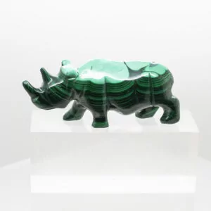 malachite rhinoceros