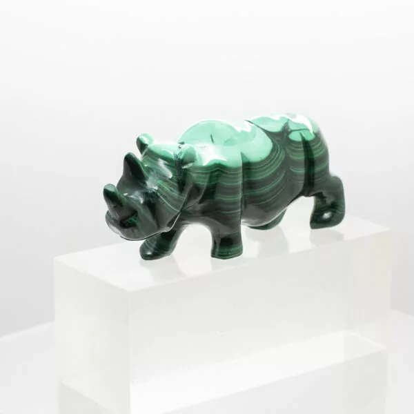 malachite rhinoceros