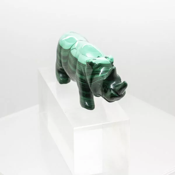 malachite rhinoceros