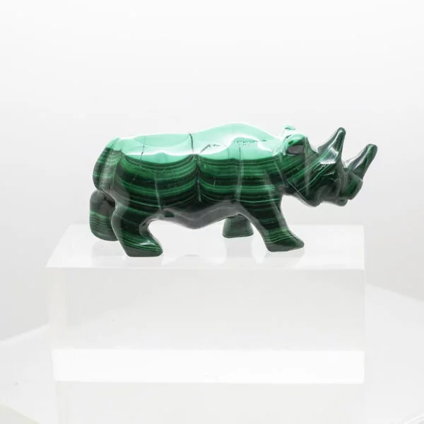 malachite rhinoceros