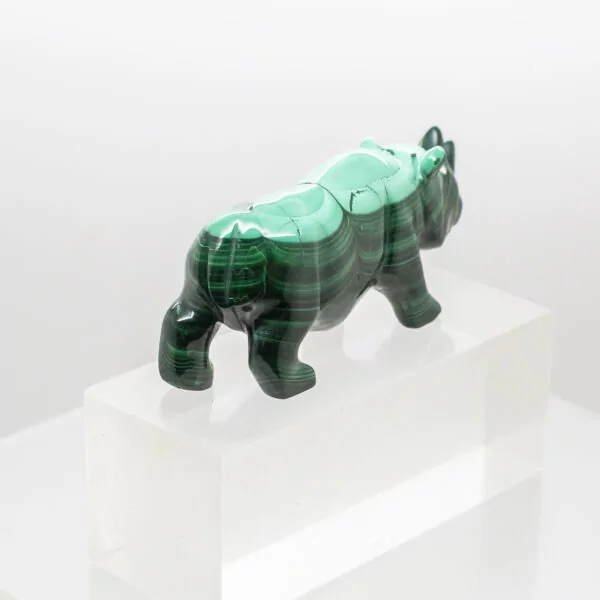 malachite rhinoceros