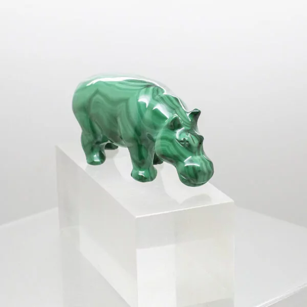 malachite hippo