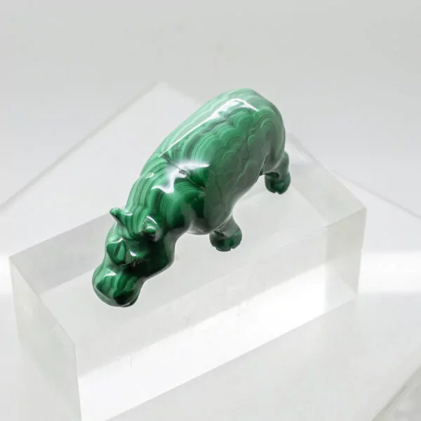 malachite hippo