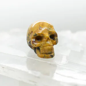 crazy lace agate skull