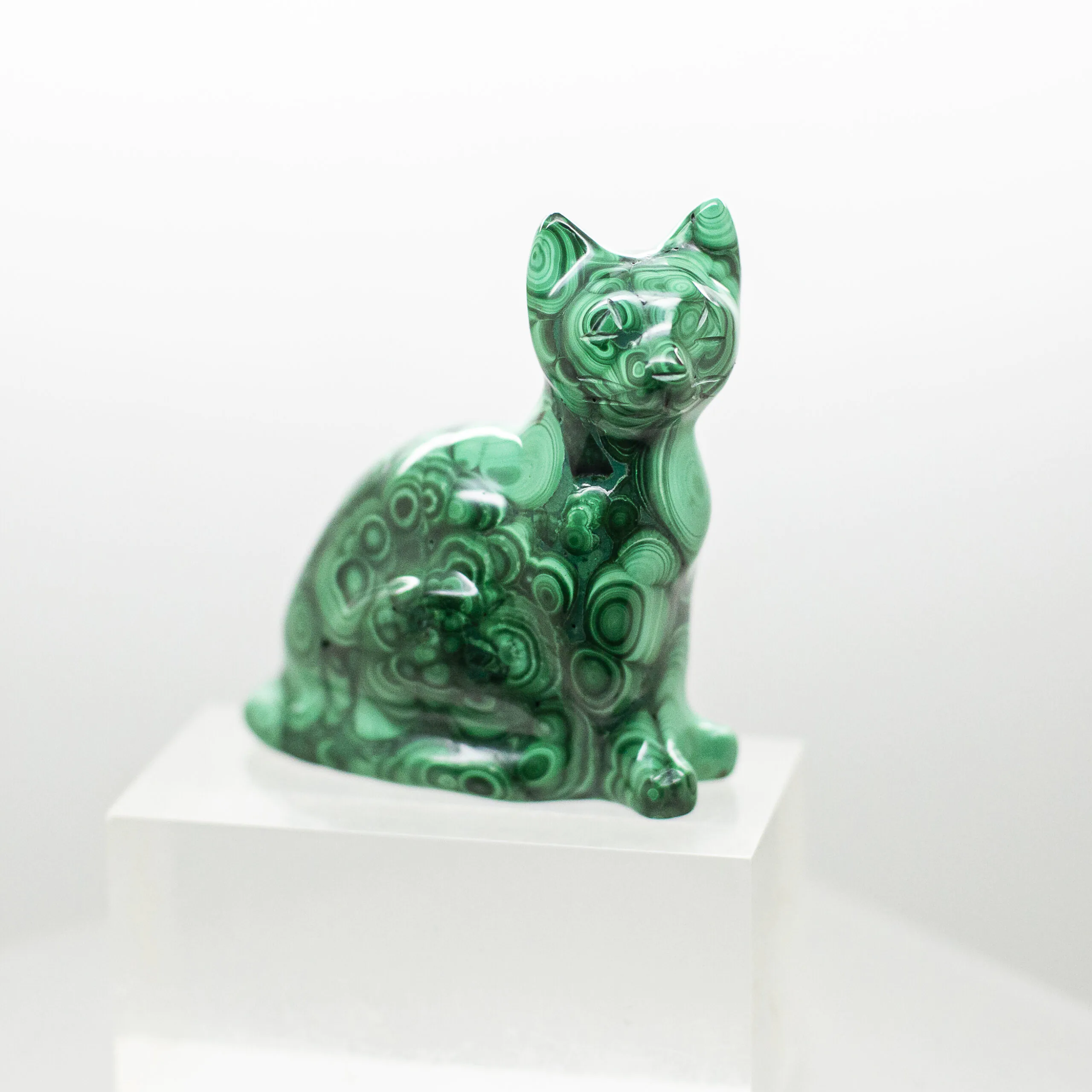 malachite cat