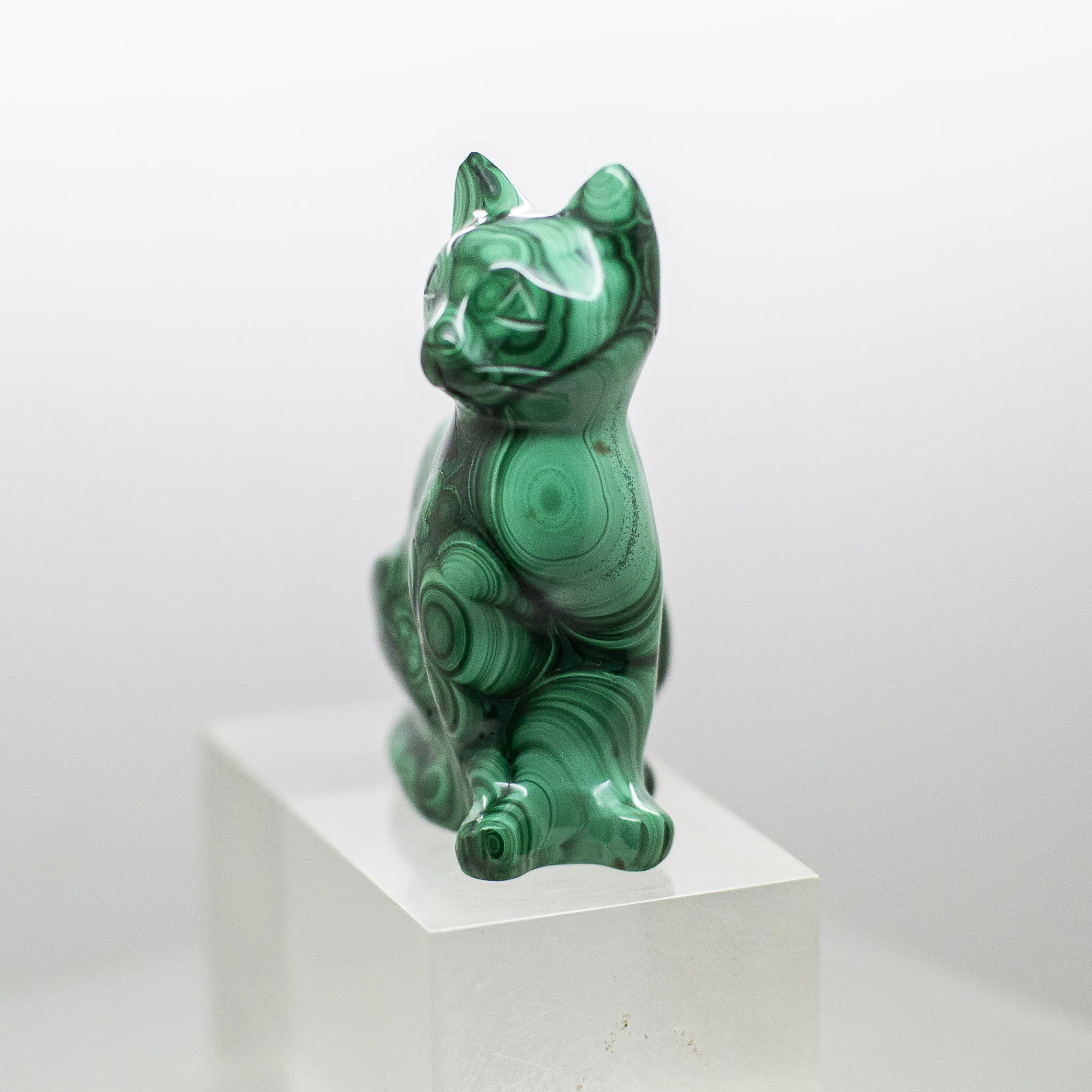 malachite cat