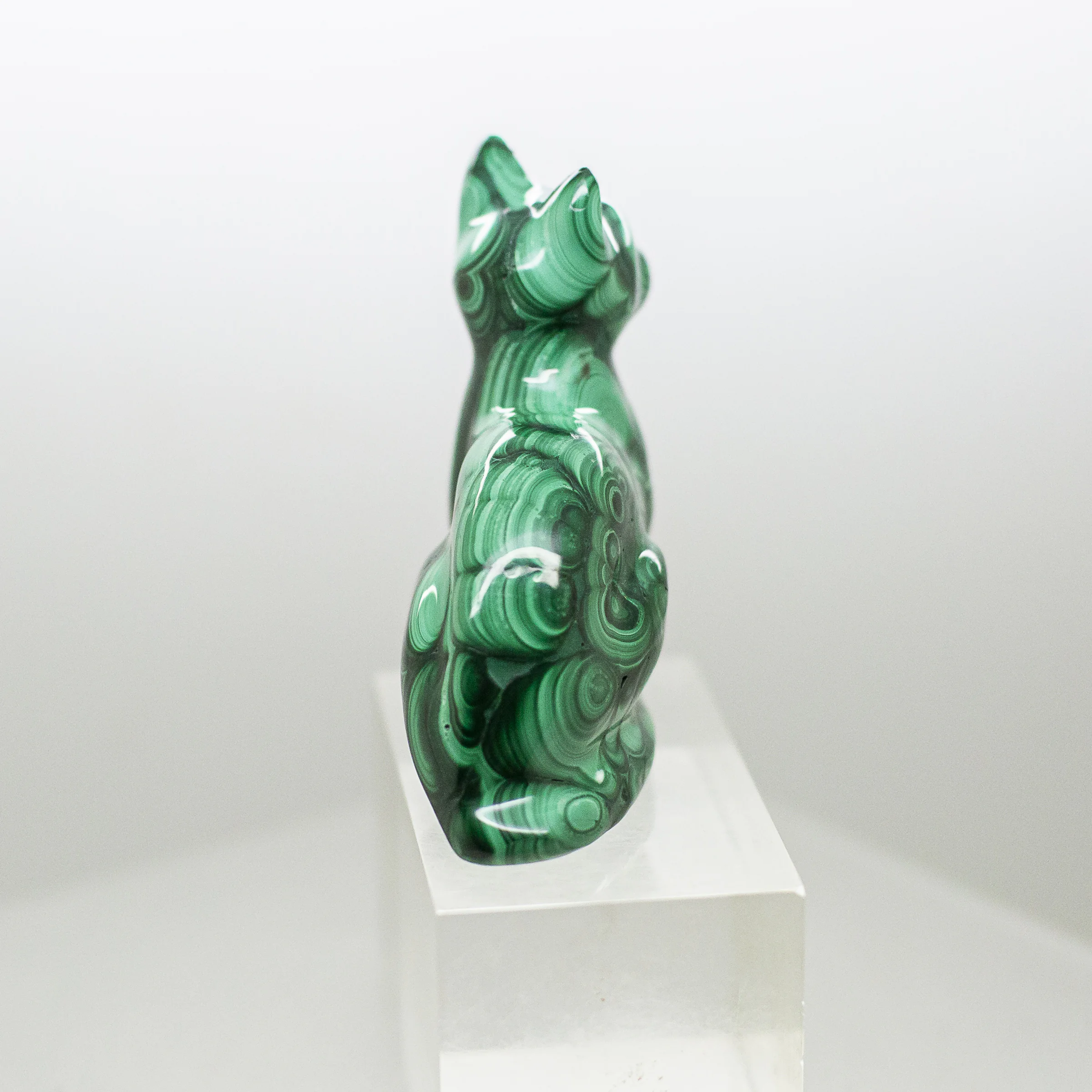 malachite cat