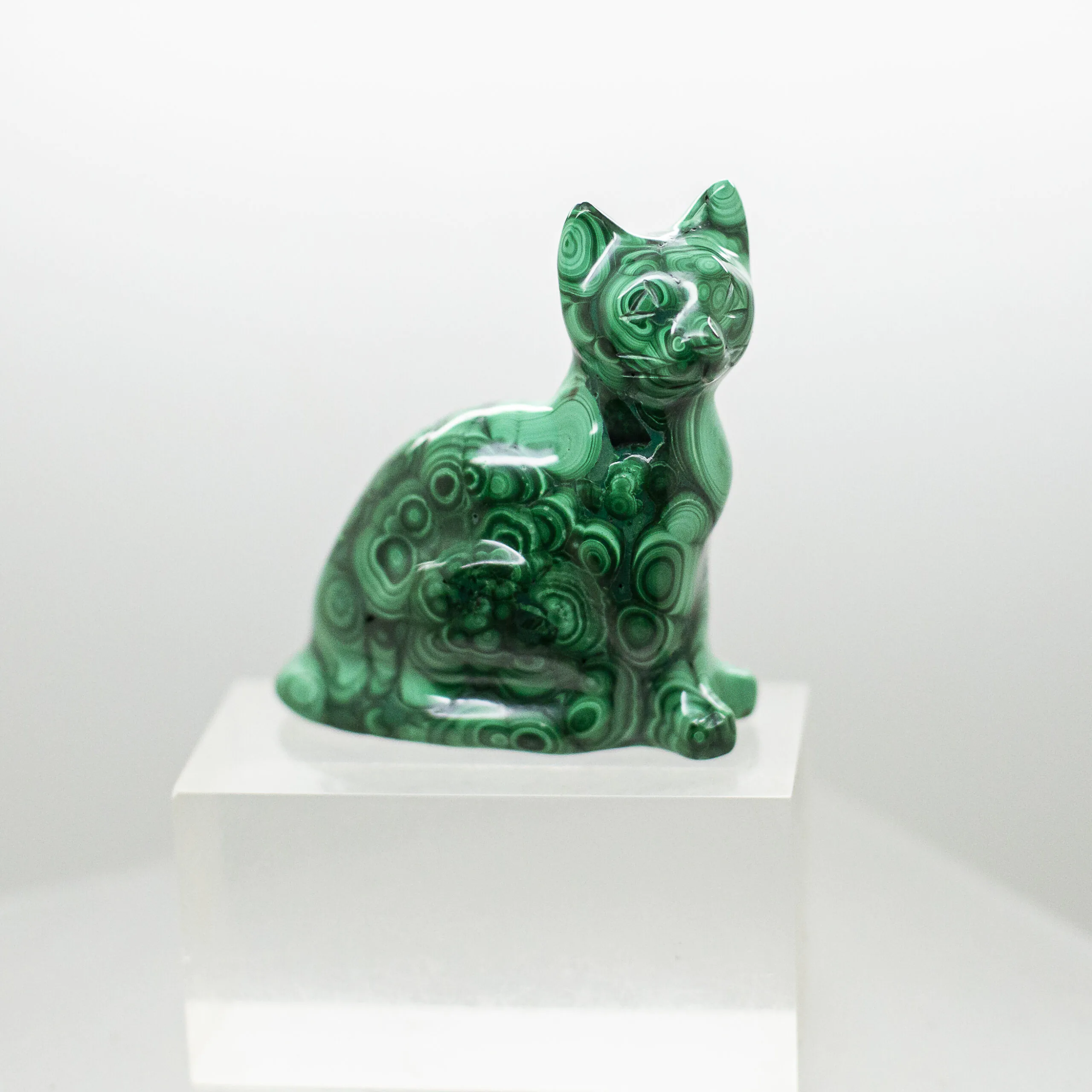 malachite cat