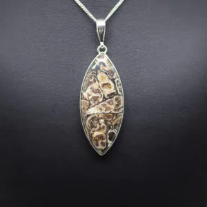 turritella agate pendant