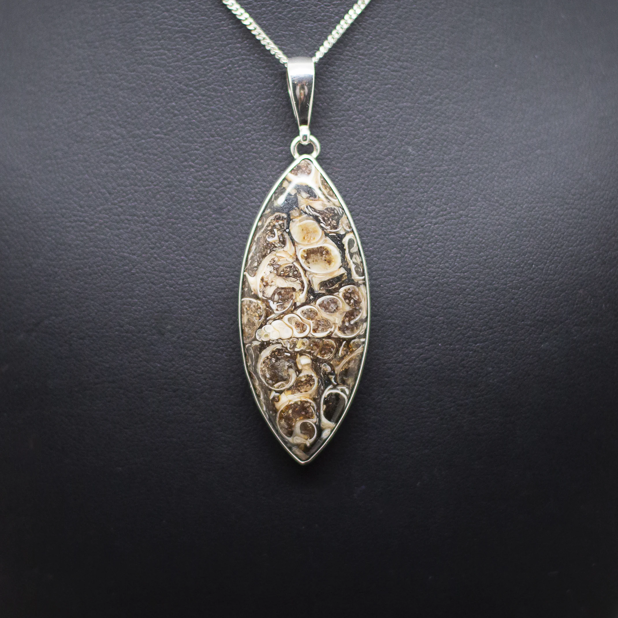 turritella agate pendant