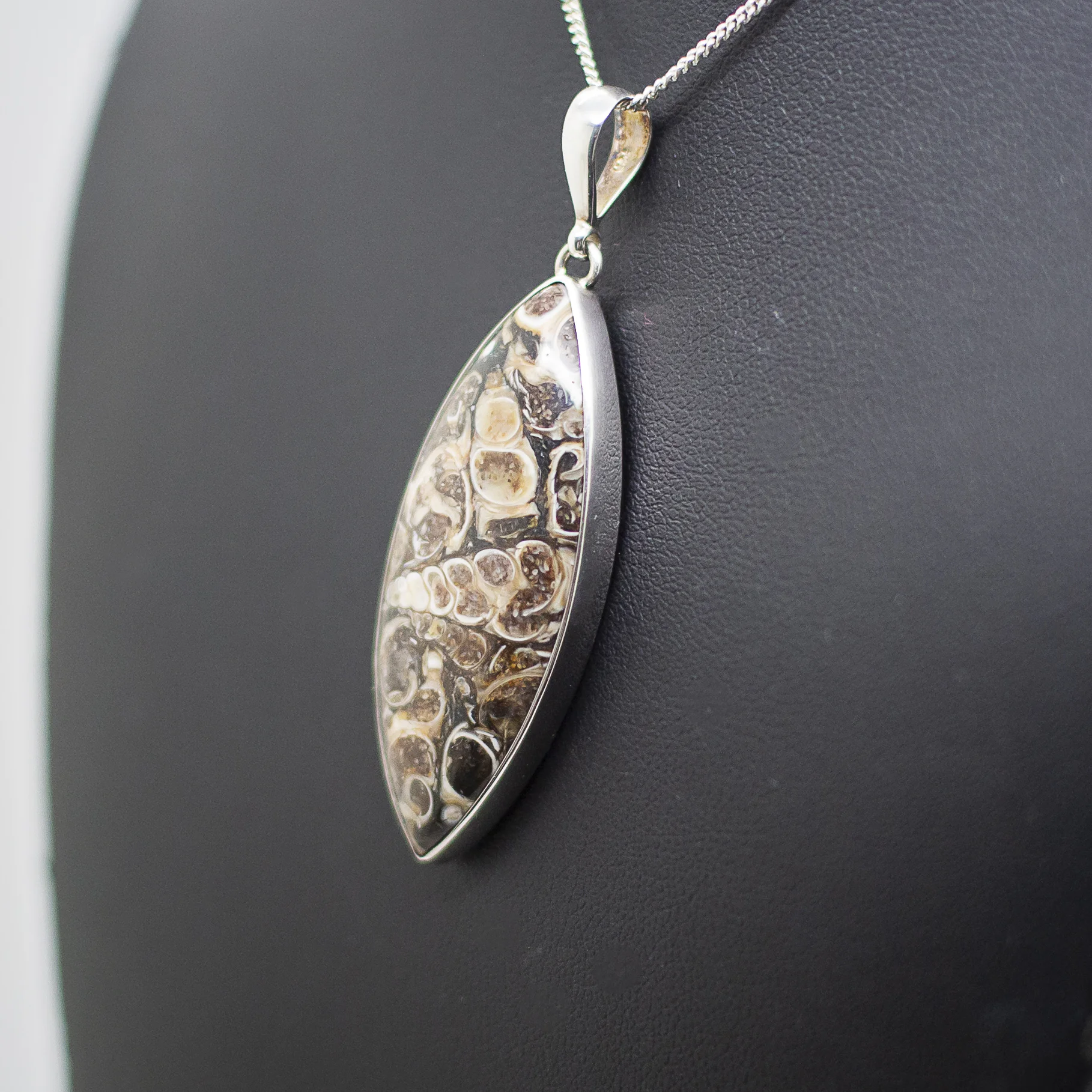turritella agate pendant