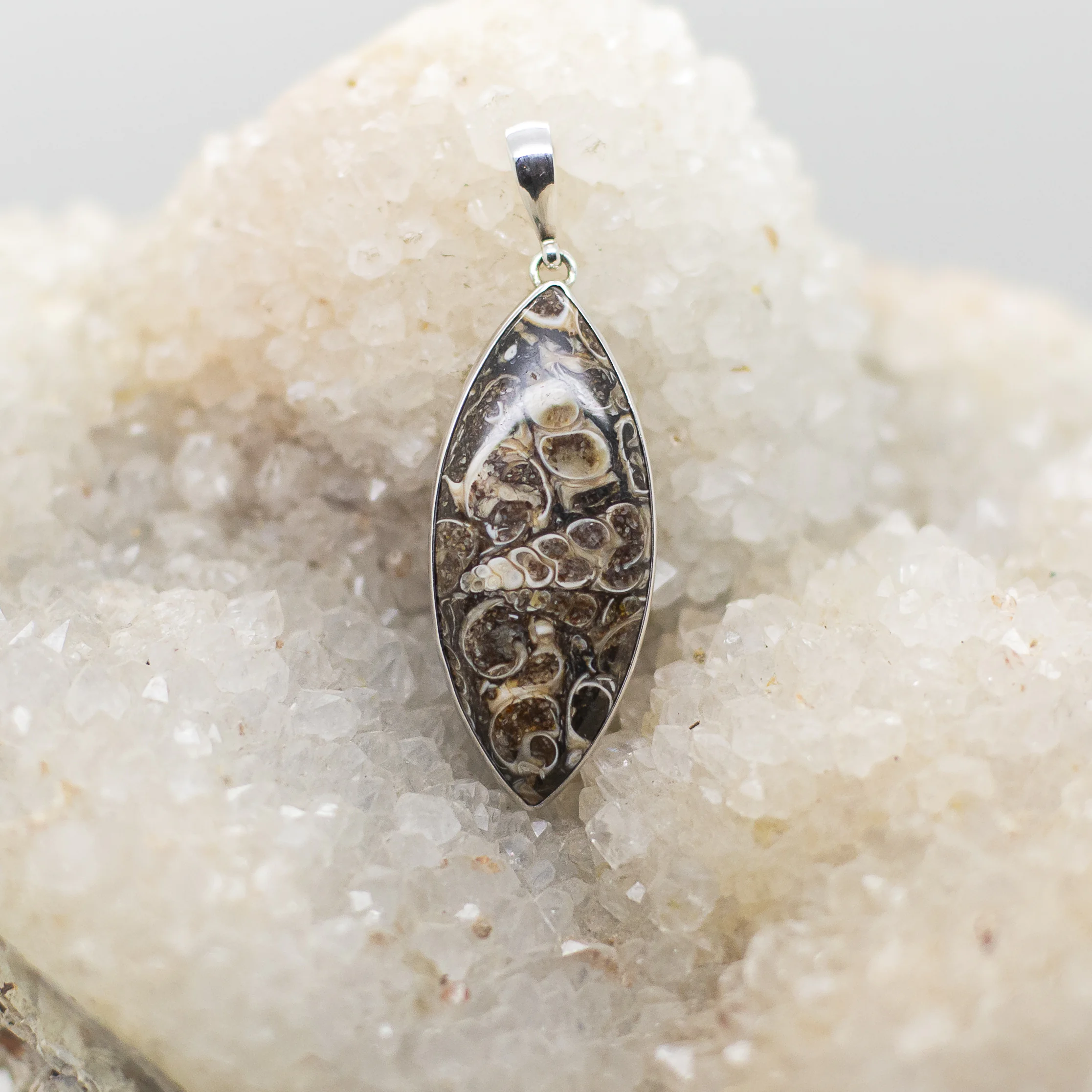 turritella agate pendant