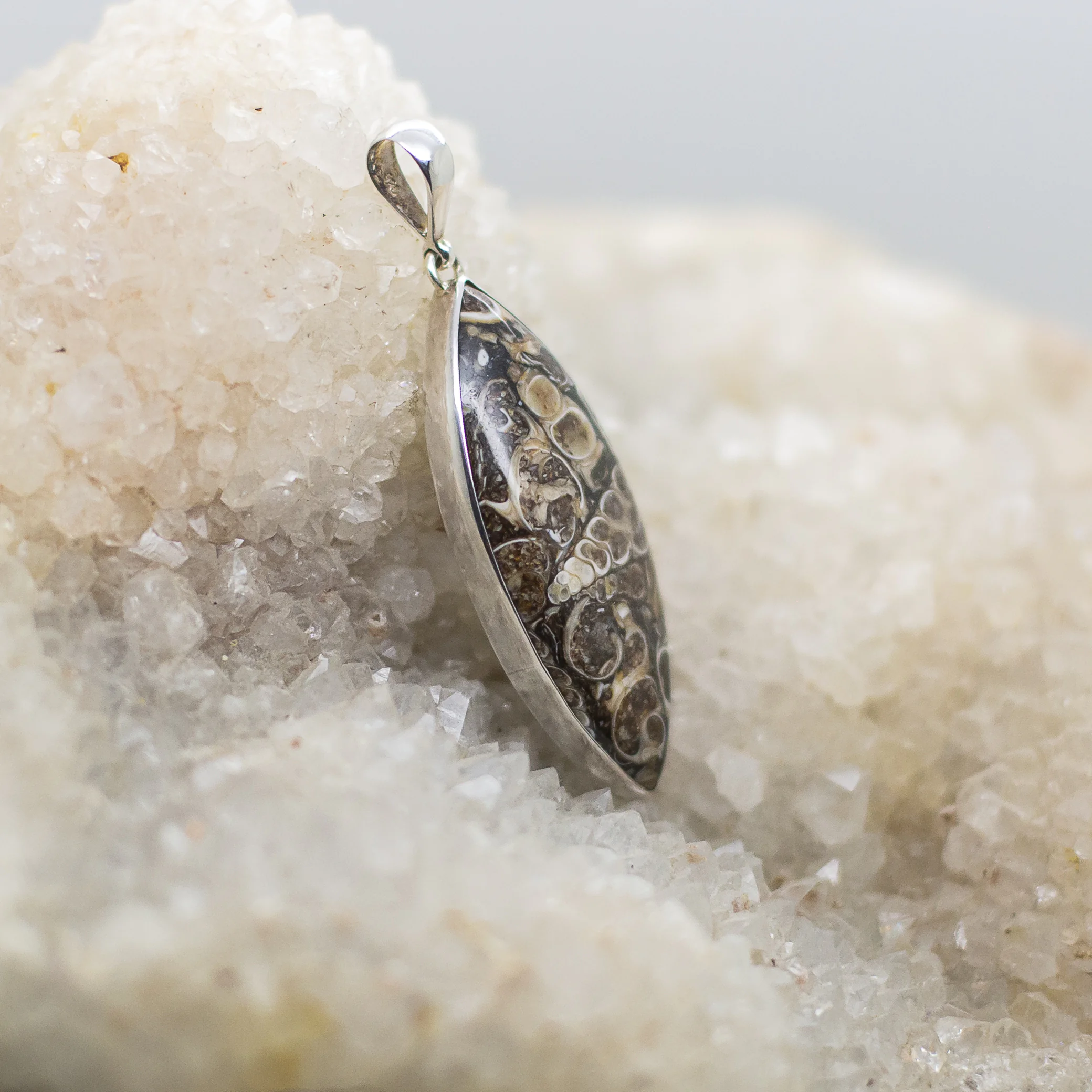 turritella agate pendant