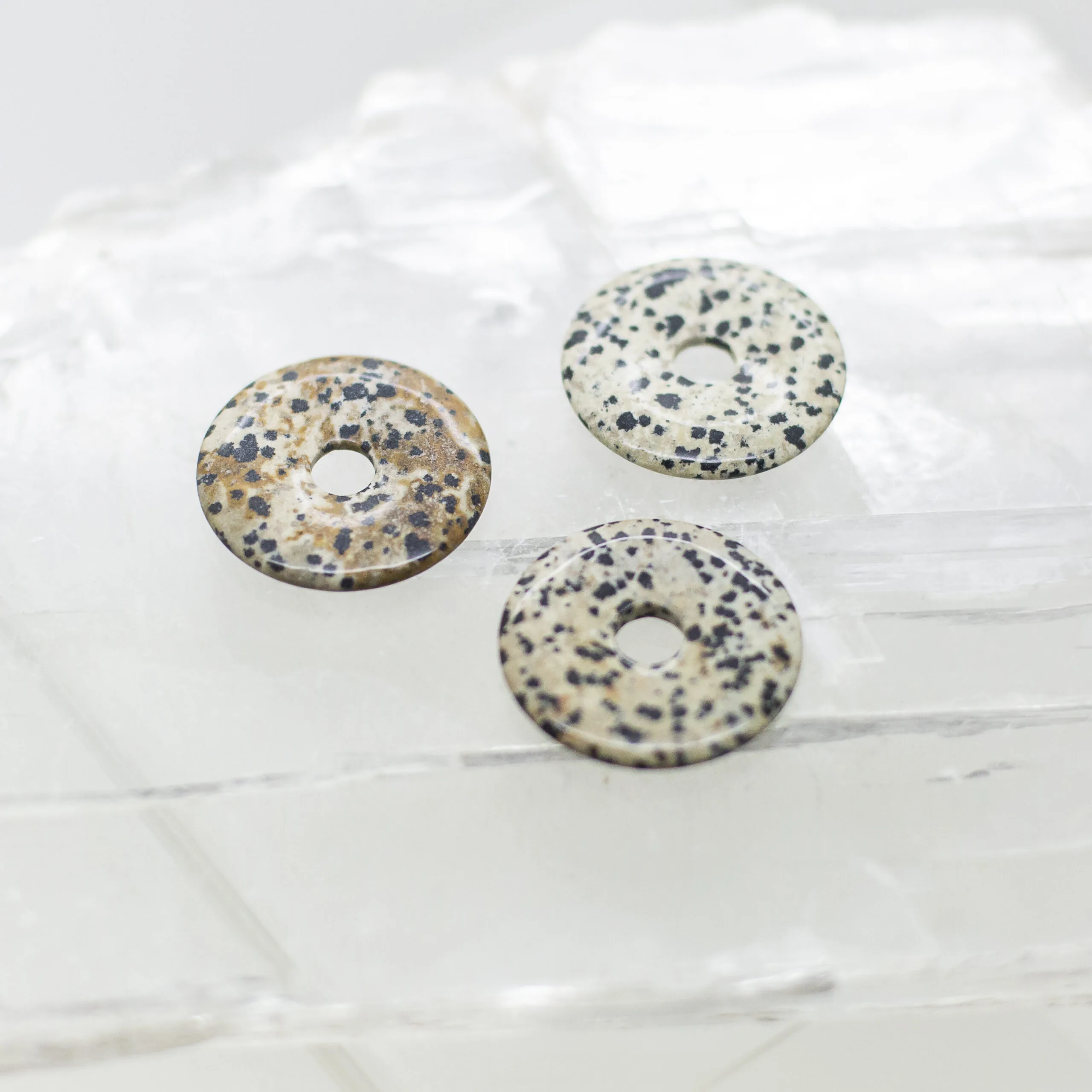 dalmation jasper donut