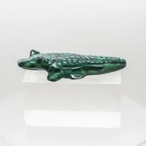 malachite crocodile