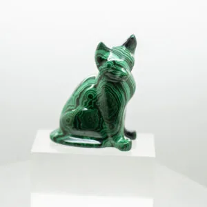 malachite cat