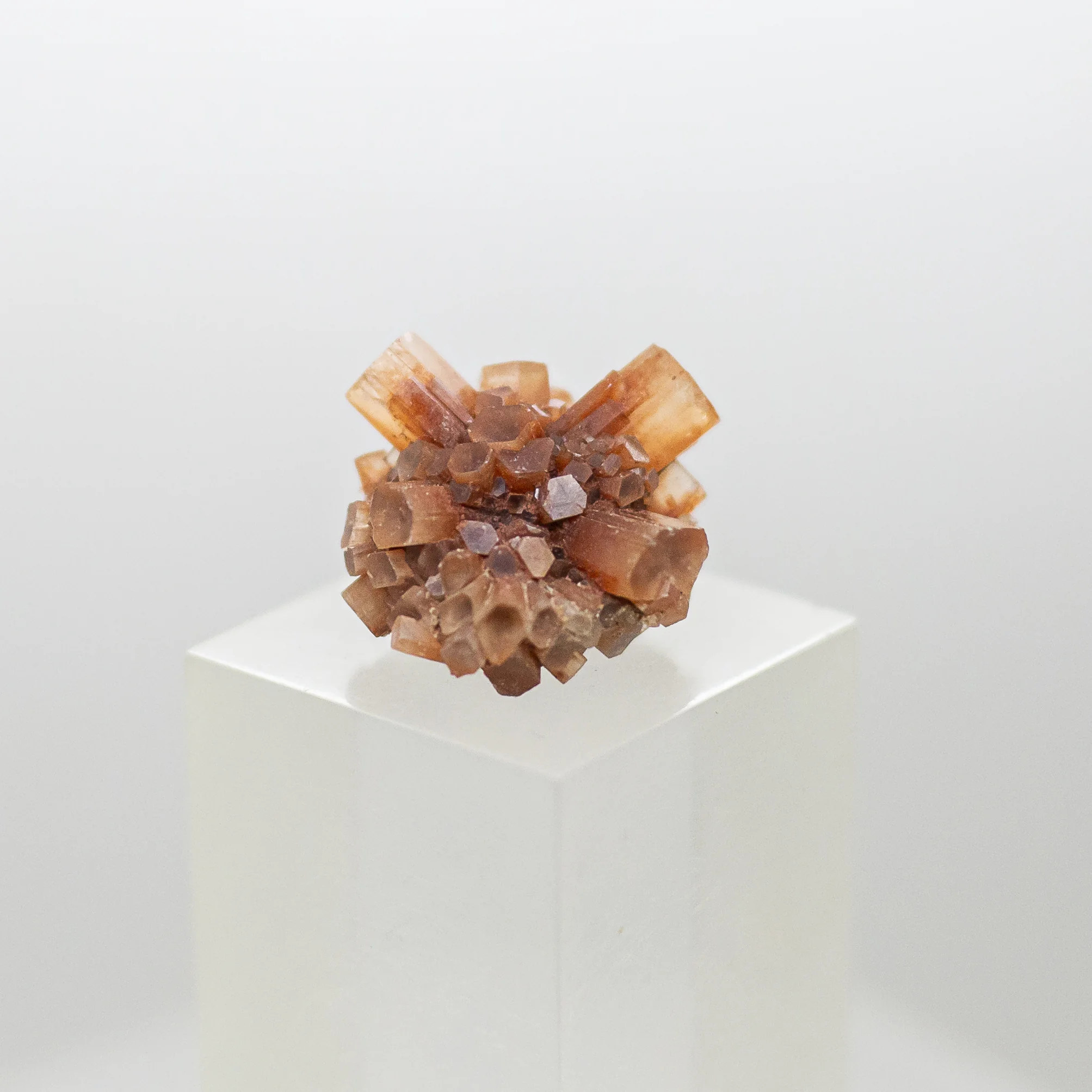 aragonite cluster